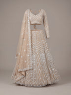 Soft Champagne Mirror Lehenga Set