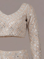 Soft Champagne Mirror Lehenga Set