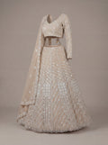 Soft Champagne Mirror Lehenga Set