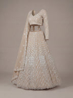 Soft Champagne Mirror Lehenga Set