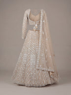 Soft Champagne Mirror Lehenga Set